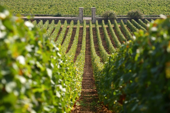 Beaune et les vignobles de Bourgogne